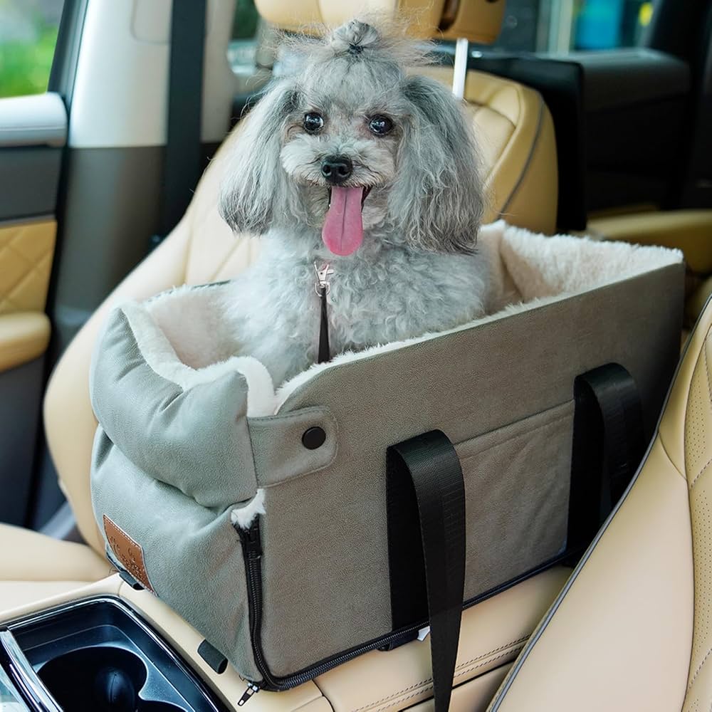 PawVoyage